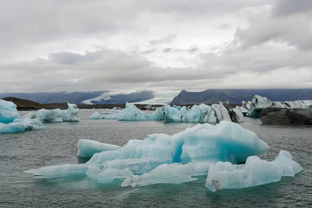 Icebergs where the glacier meets the sea